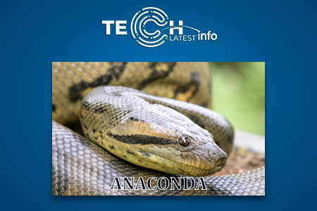 Anaconda