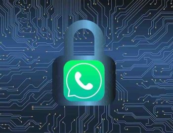 5-top-whatsApp-safety-features-everyone-must-use