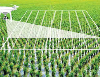 artificial-intelligence-in-agriculture