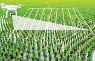 What is Artificial Intelligence in agriculture?