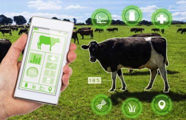 livestock-farming-technology