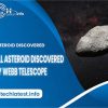 A small Asteroid discovered by Webb Telescope