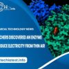 researchers-discovered-an-enzyme-that-produce-electricity-from-thin-air